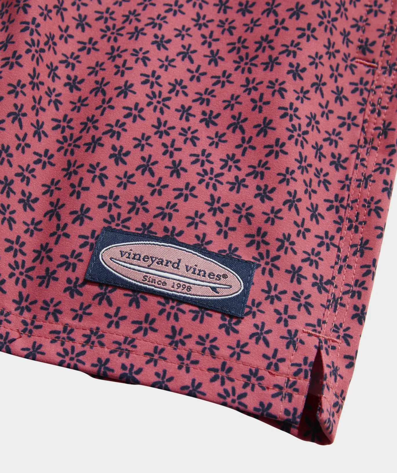5 Inch Printed Chappy Swim Trunks