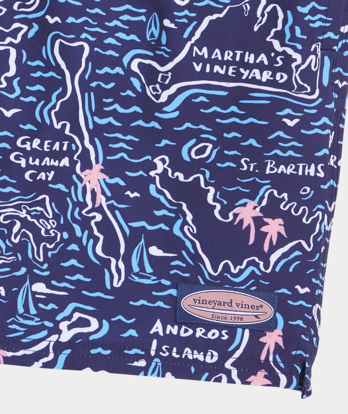 7 Inch Printed Chappy Swim Trunks