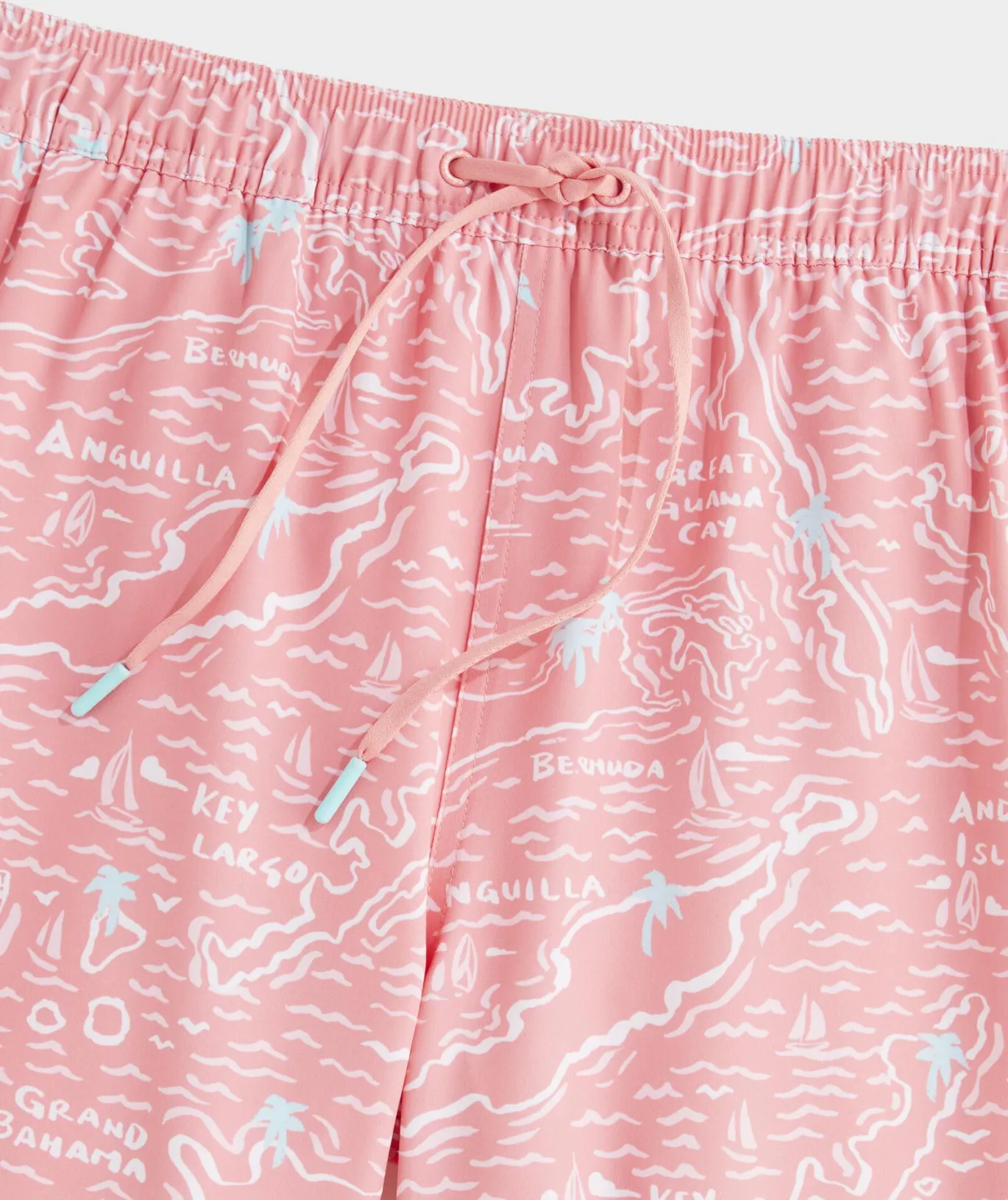 7 Inch Printed Chappy Swim Trunks