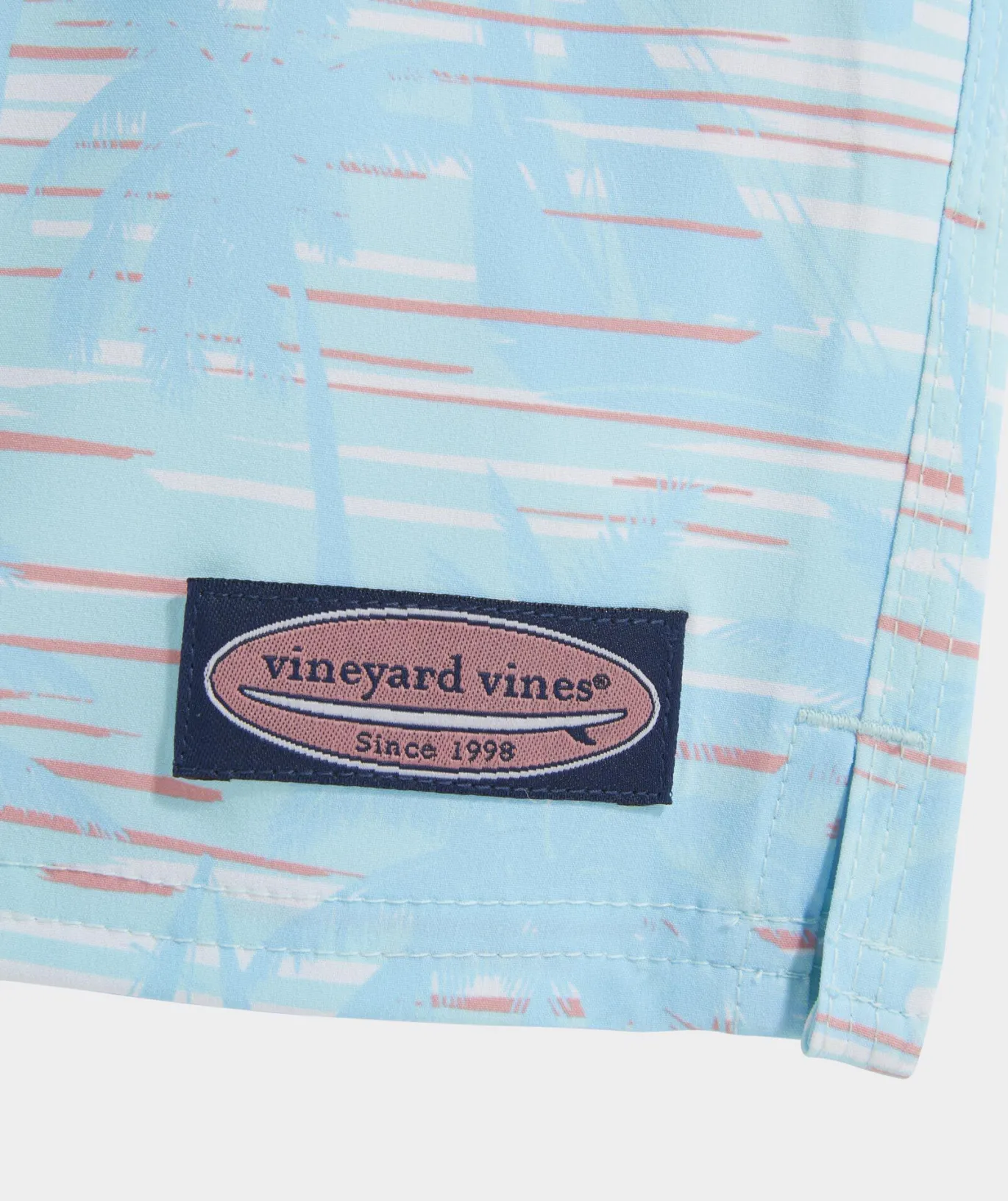 Boys' Printed Chappy Trunks