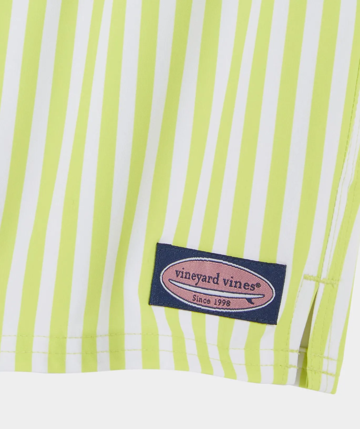 Boys' Printed Chappy Trunks