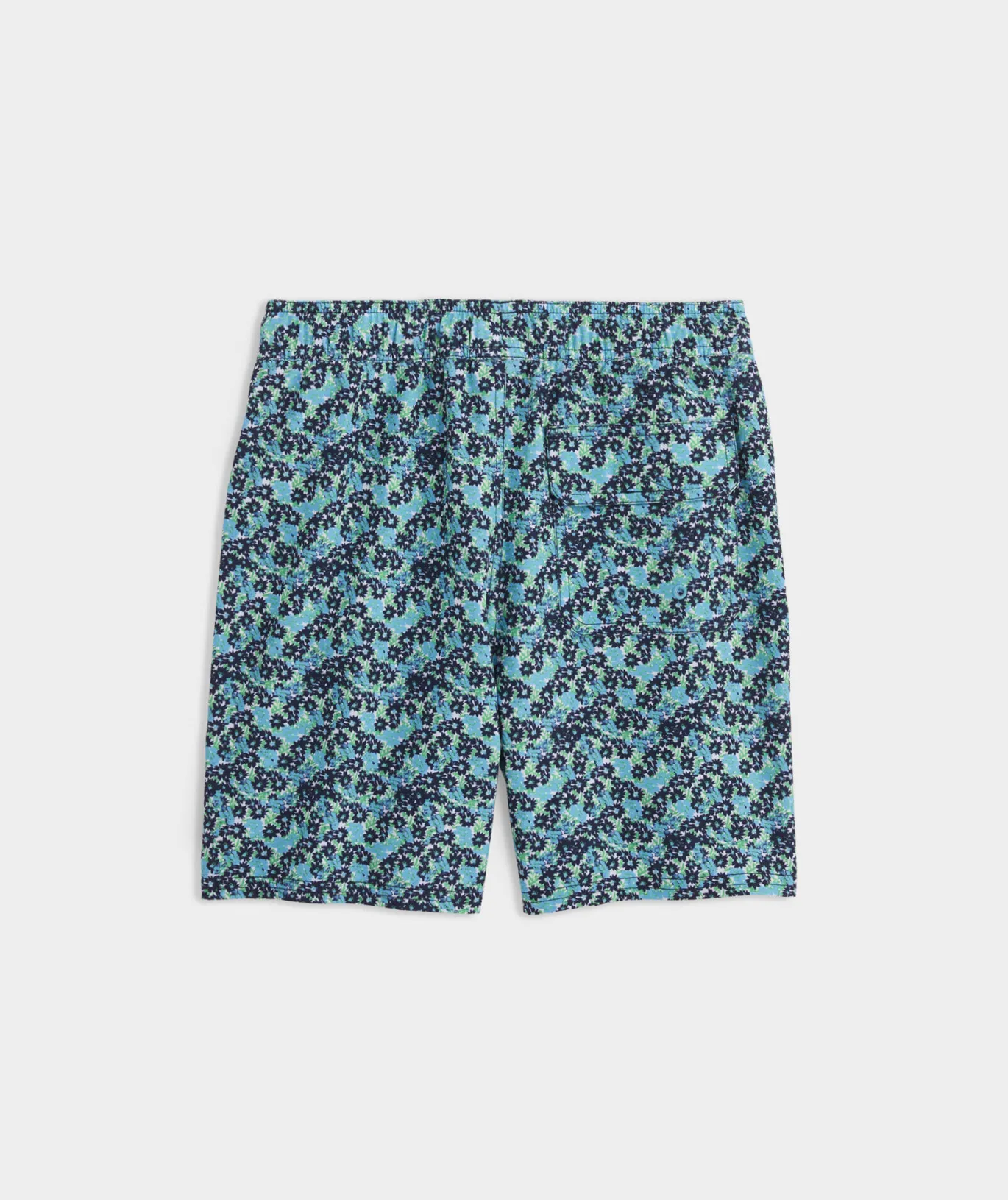 Boys' Printed Chappy Trunks