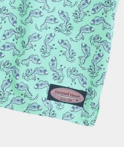 Boys' Printed Chappy Trunks