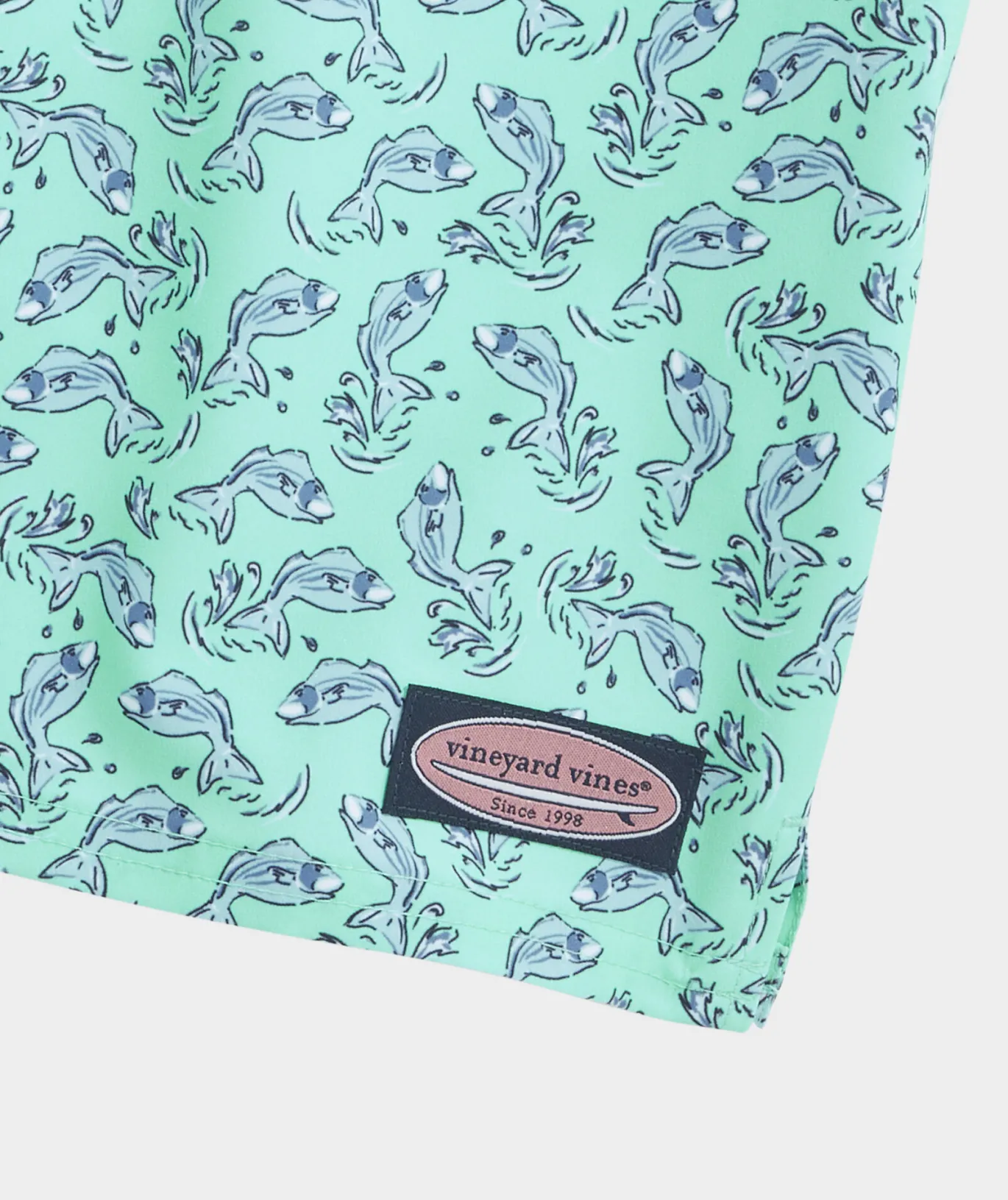 Boys' Printed Chappy Trunks