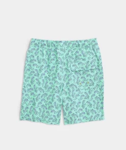 Boys' Printed Chappy Trunks