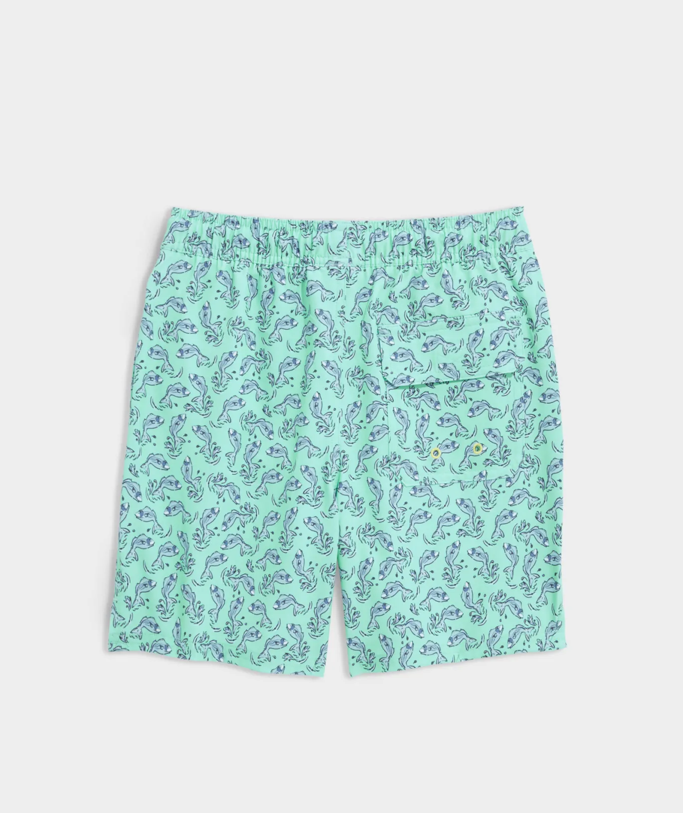 Boys' Printed Chappy Trunks