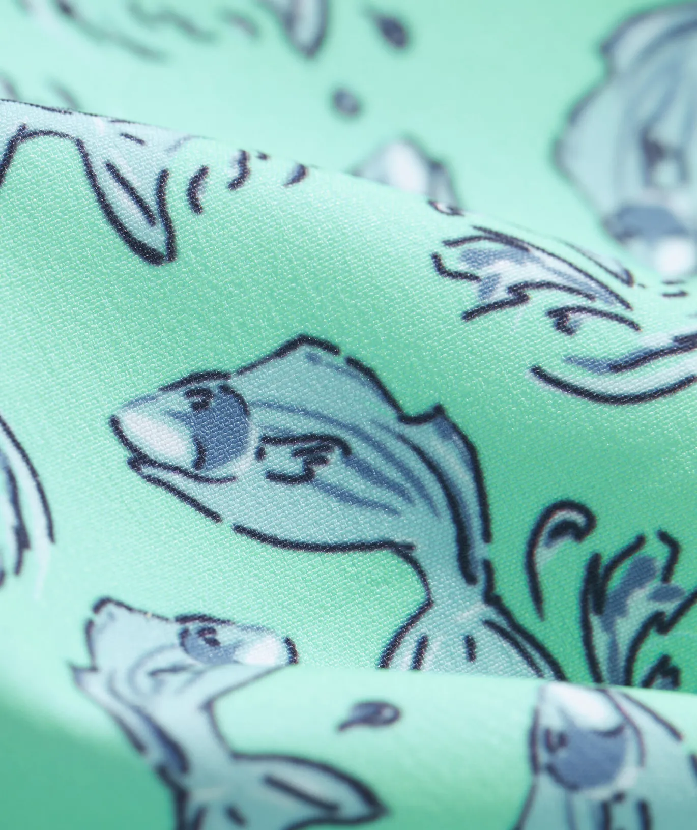 Boys' Printed Chappy Trunks