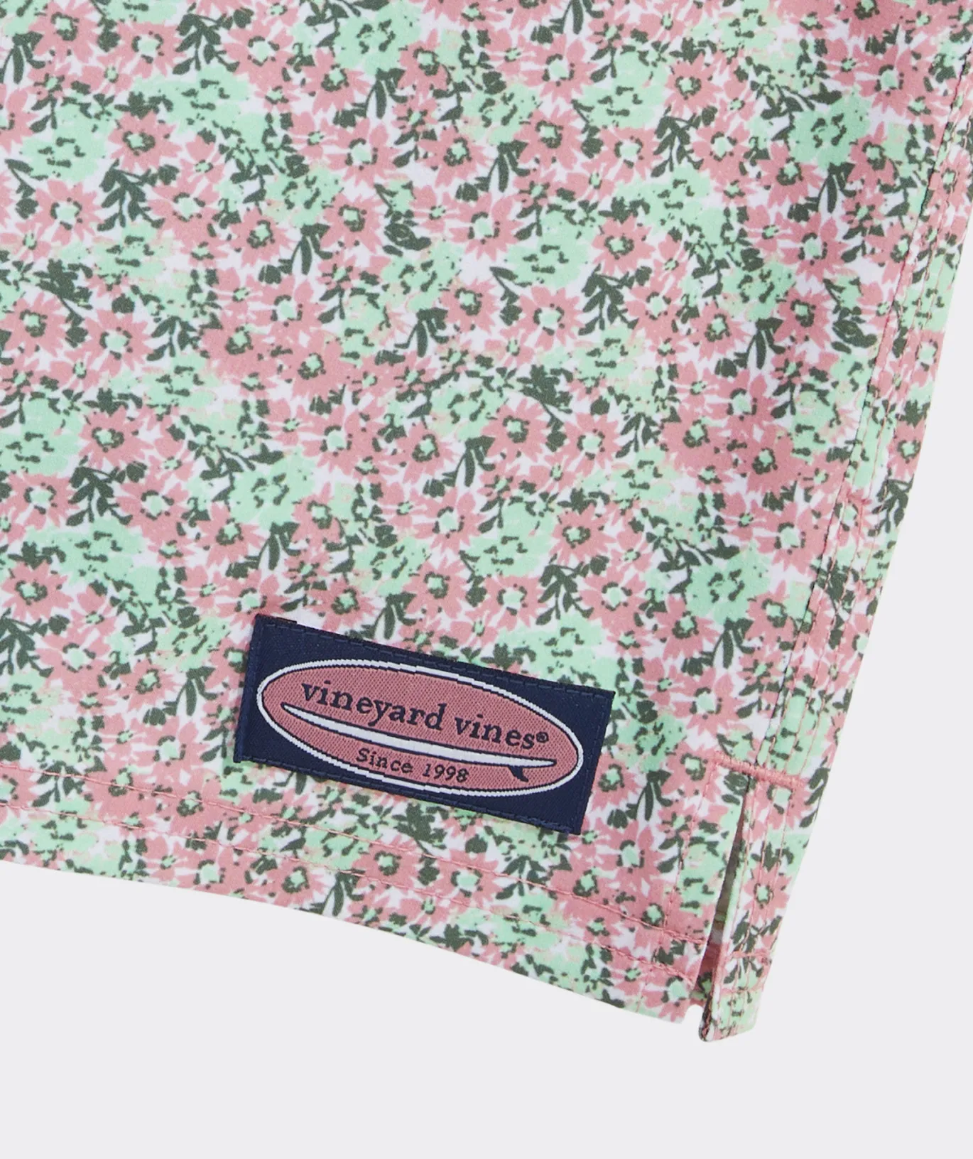 Boys' Printed Chappy Trunks
