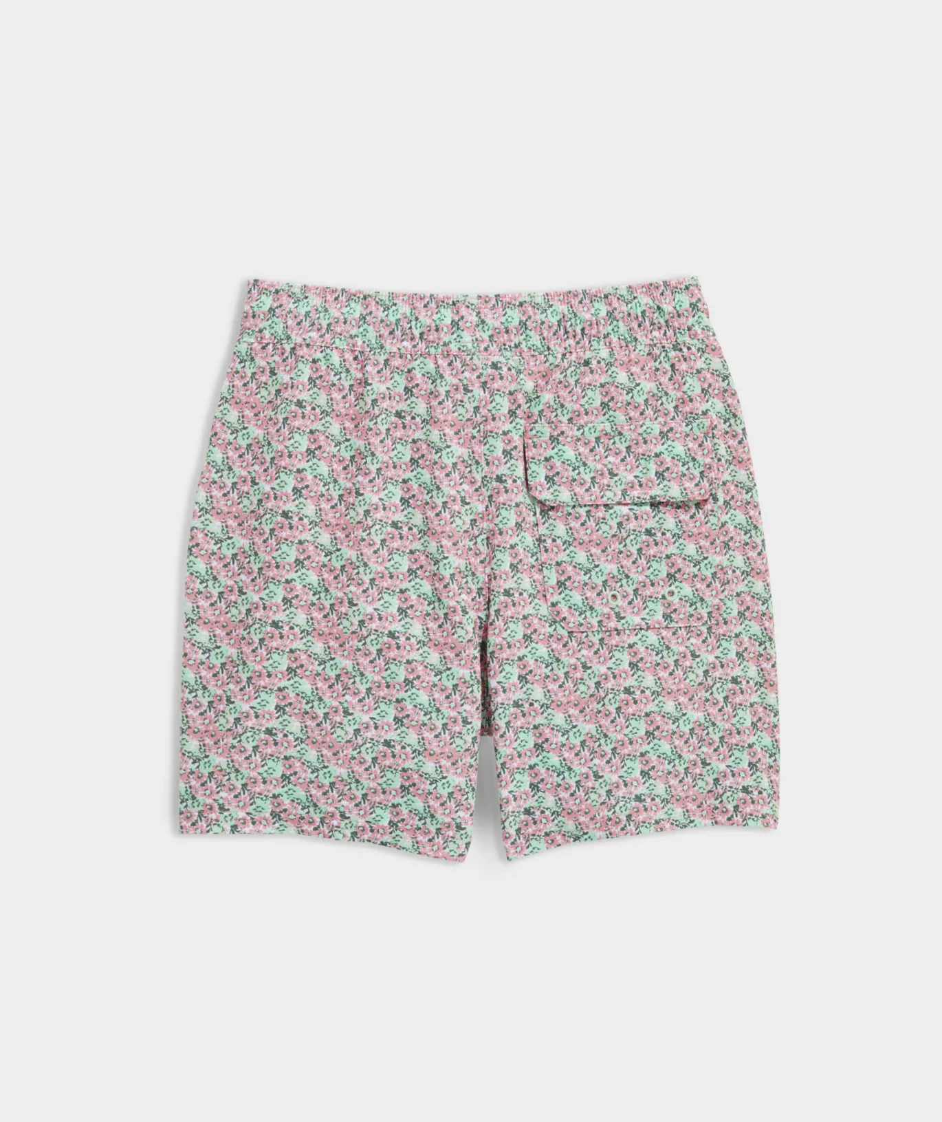 Boys' Printed Chappy Trunks