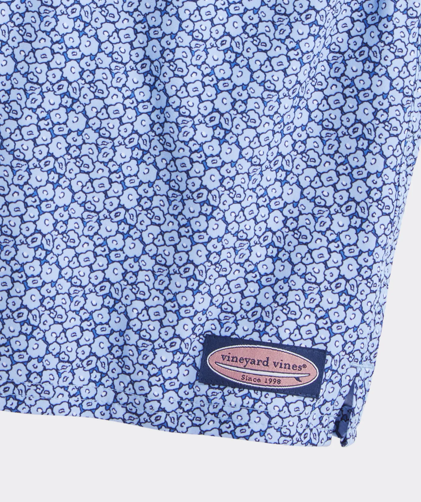 Boys' Printed Chappy Trunks