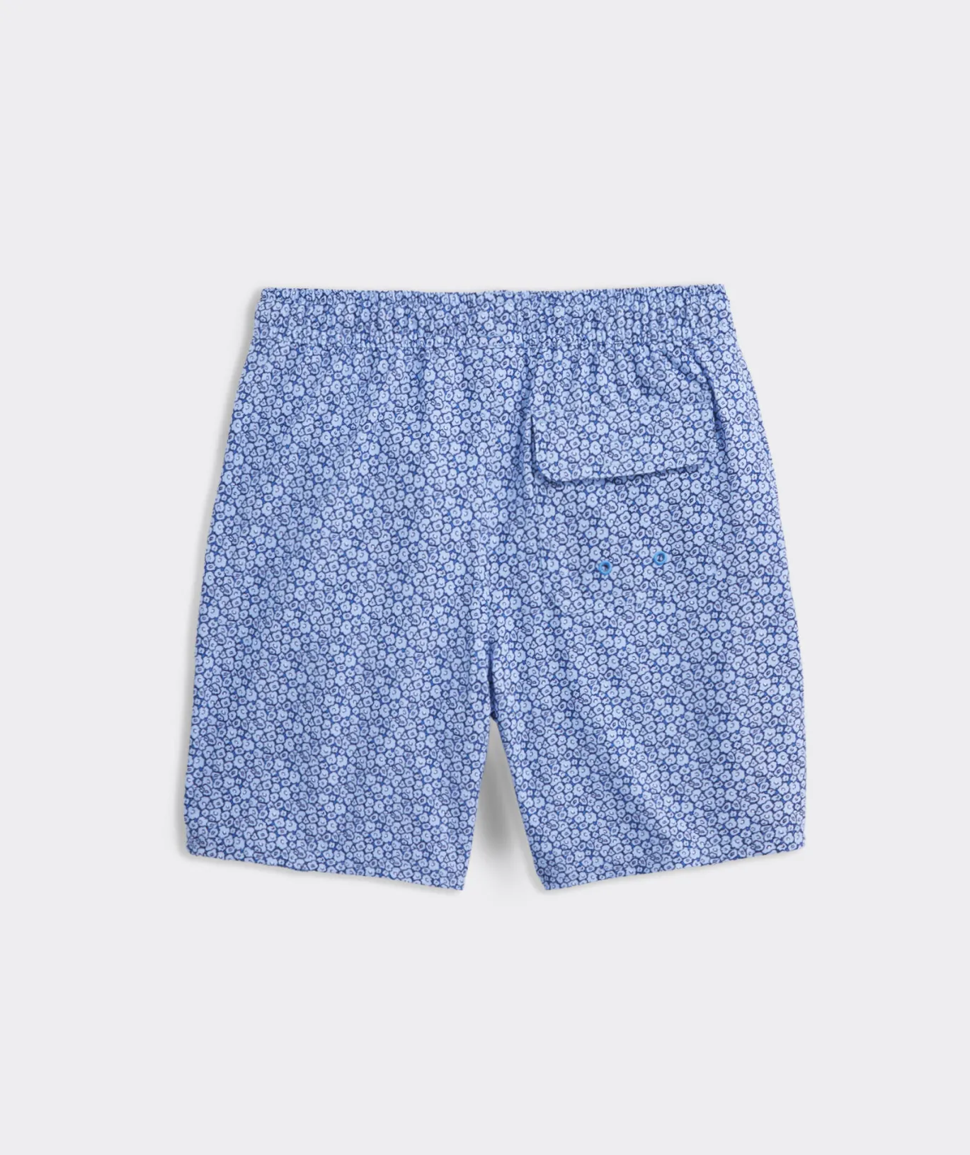 Boys' Printed Chappy Trunks
