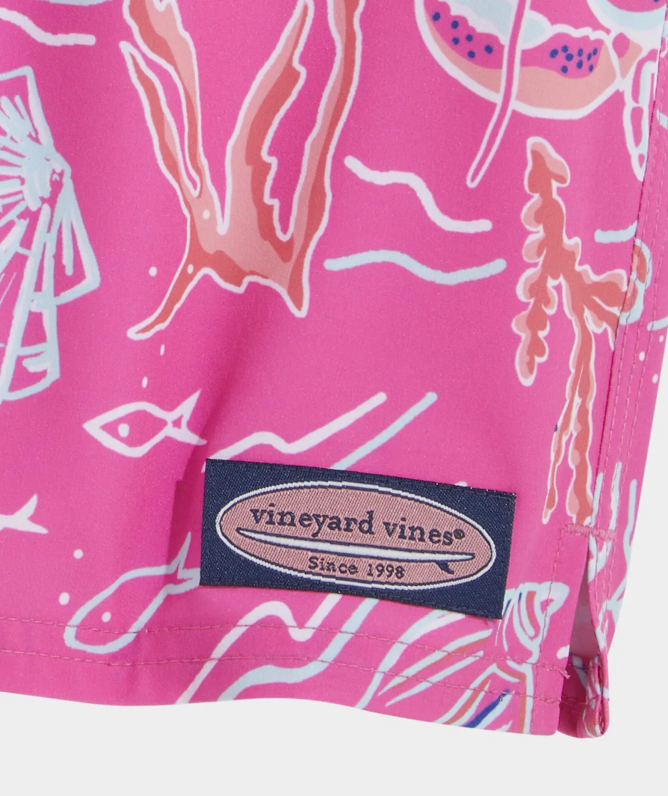 Boys' Printed Chappy Trunks
