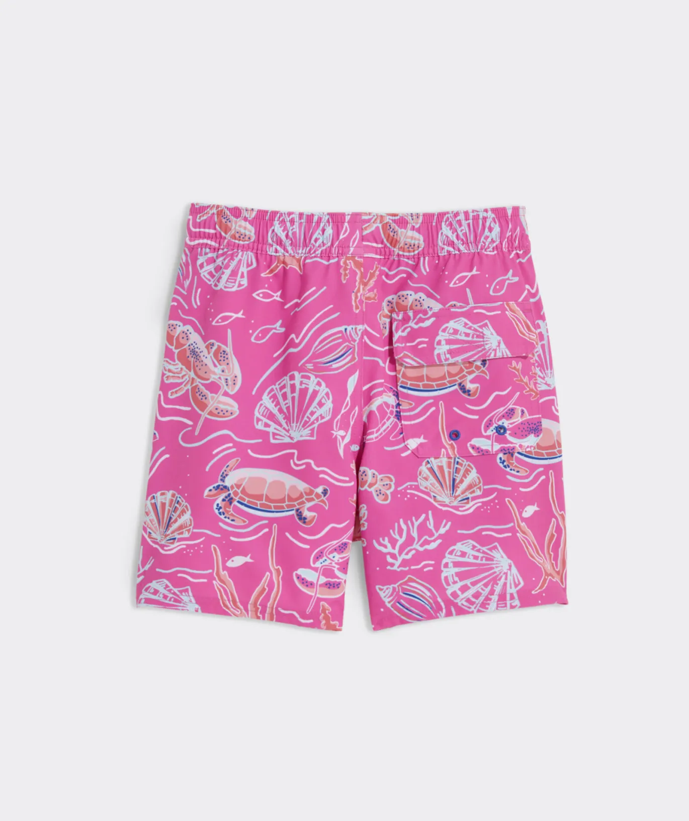 Boys' Printed Chappy Trunks