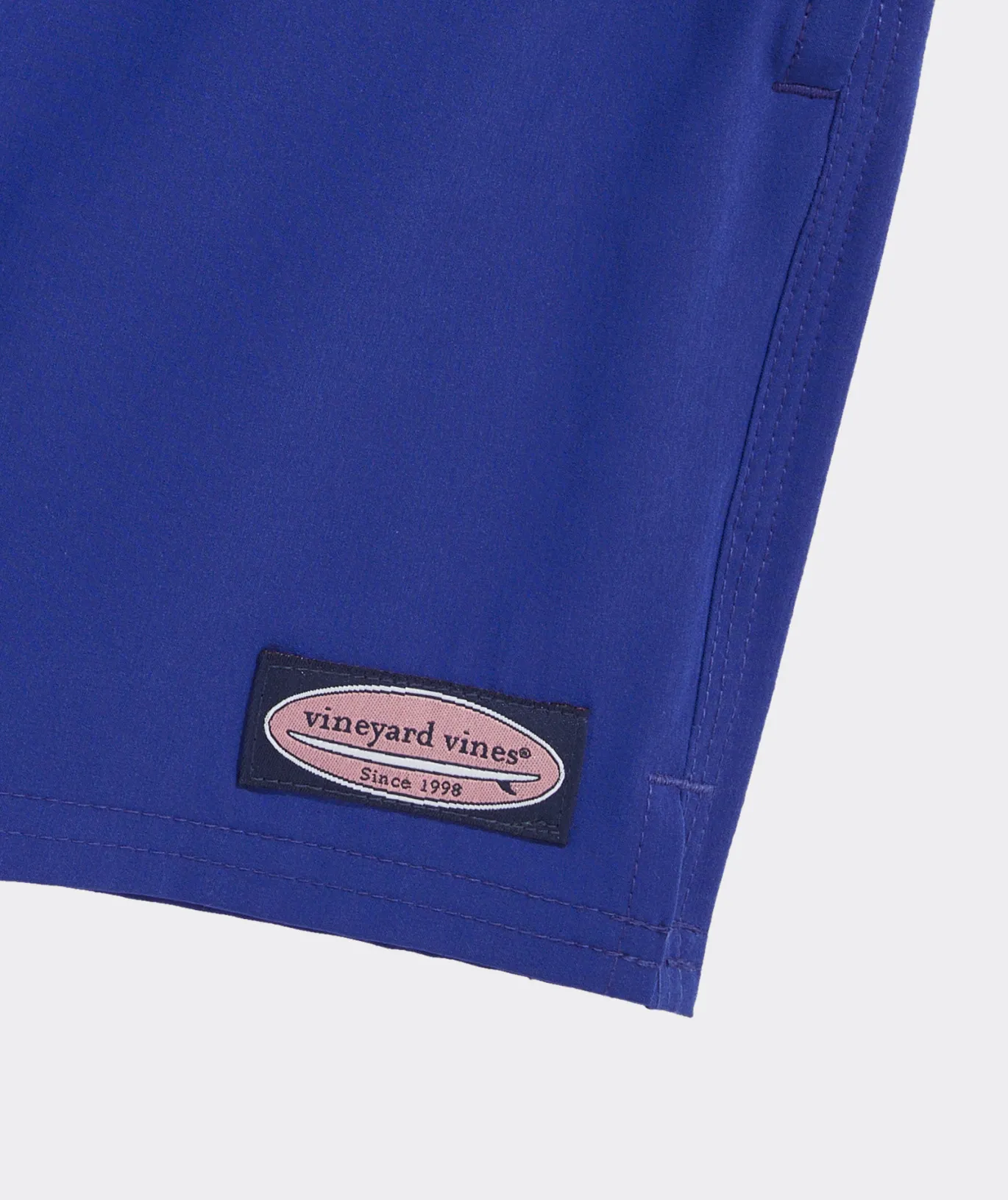 Boys' Solid Chappy Trunks