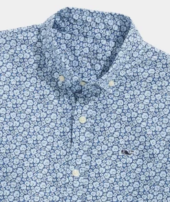 Palmero Polo