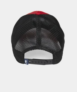 Whale Dot Performance Trucker Hat